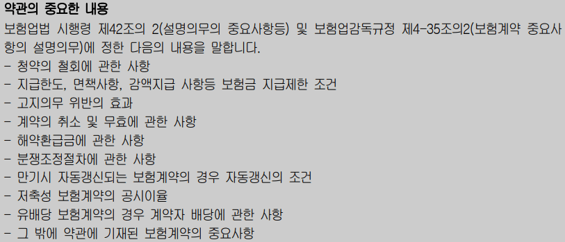 보험약관 중요내용 캡쳐화면