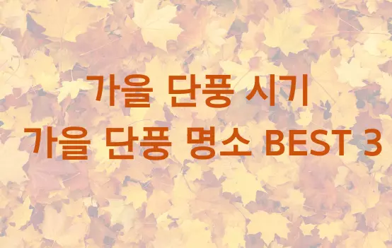 가을 단풍 시기와 가을 단풍 명소 BEST3 추천