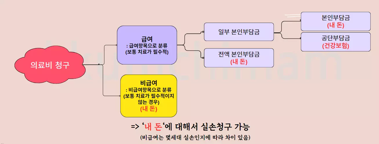 급여, 비급여, 전액본인부담 차이 그래프